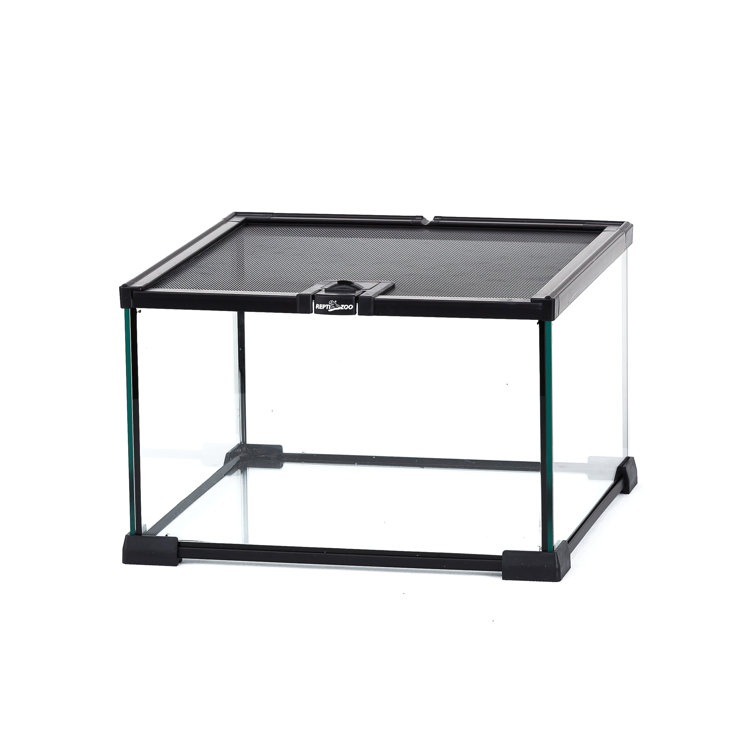 REPTIZOO 5 Gallon Terrarium Wayfair Canada